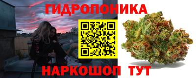 apvp Донской