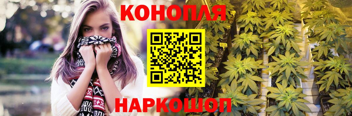 Бошки Шишки сатива  Вход с VPN  Канабис планчик  Бошки Шишки сатива  Лянтор 